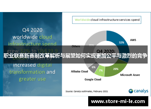 职业联赛新赛制改革解析与展望如何实现更加公平与激烈的竞争