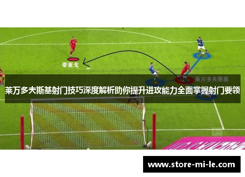莱万多夫斯基射门技巧深度解析助你提升进攻能力全面掌握射门要领