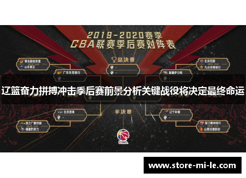 辽篮奋力拼搏冲击季后赛前景分析关键战役将决定最终命运